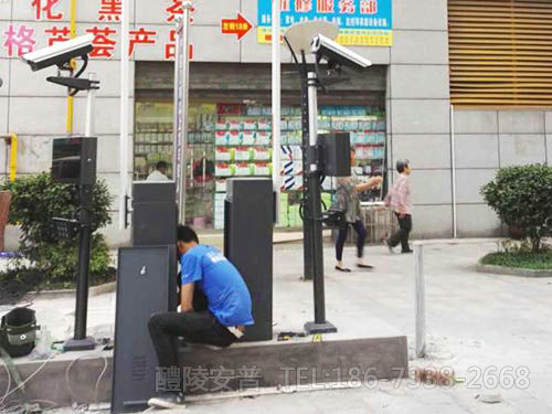 醴陵阳三星城小区车辆管理系统