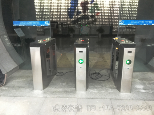 醴陵新世纪陶瓷艺术馆人行通道管理系统