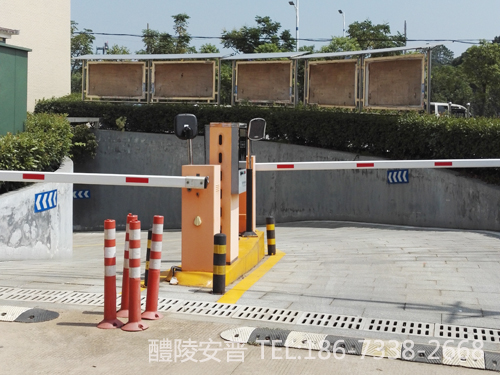 醴陵经济开发区车辆管理系统