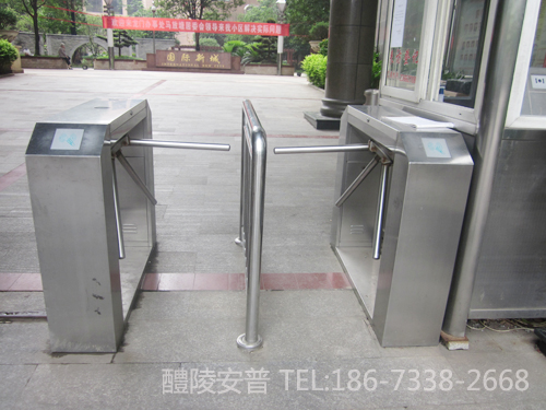 醴陵国际新城小区人员通道管理系统