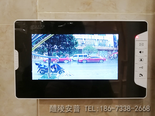 醴陵船湾镇某别墅智能化系统