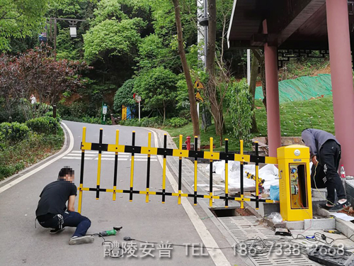 醴陵西山公园车辆管理系统