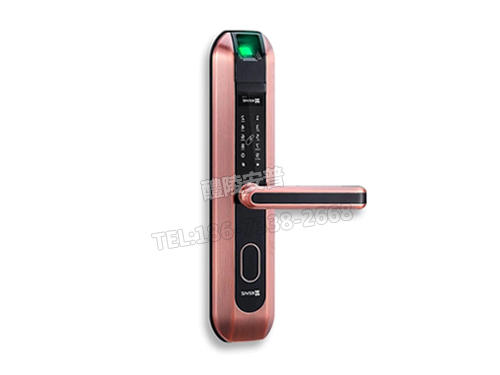 萤石DL2S智能联网指纹锁