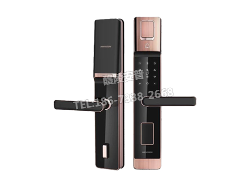 海康威视L5S/W智能联网指纹锁