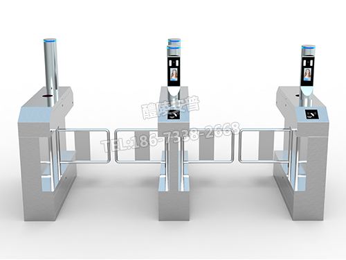 人脸识别摆闸