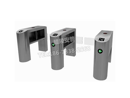 桥式斜面圆弧半高摆闸