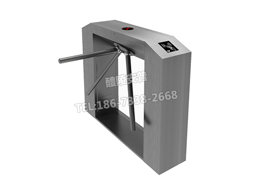 桥式斜面三辊闸