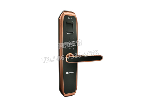 萤石DL11S智能联网指纹锁