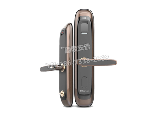 萤石DL21S智能联网指纹锁