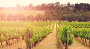 农业行业-果园智能监控解决方案