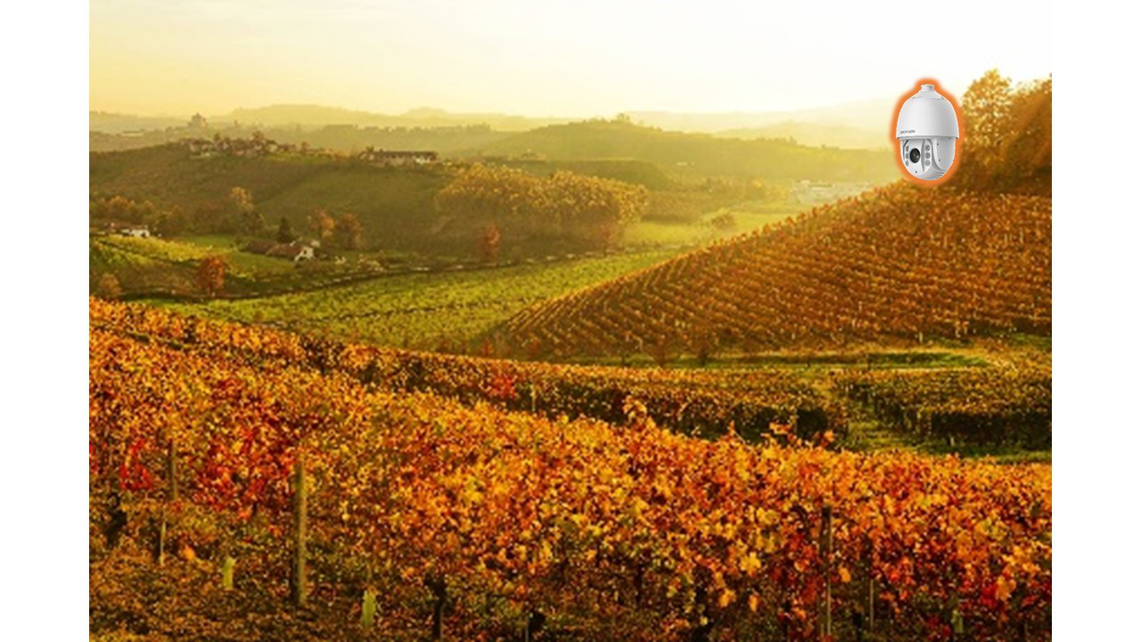 醴陵监控安装、醴陵安装监控、视频监控、门禁管理、音频视频、综合布线、机房建设；